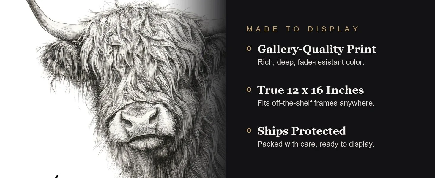 Made to display: gallery-quality print, true 12 x 16 inches, ships protected.